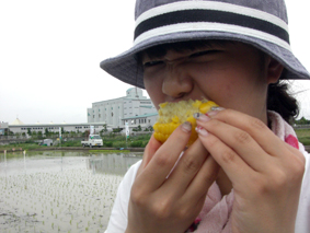 ワイルド食べ