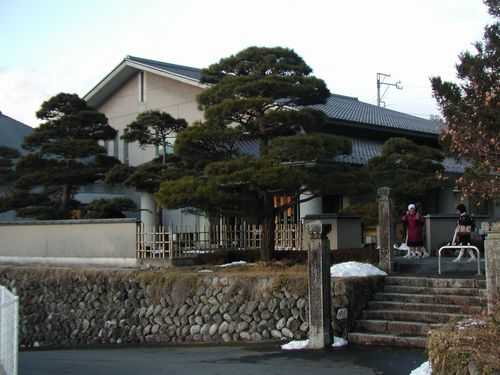 椋鳩中