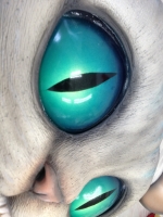 ¥Í¥³