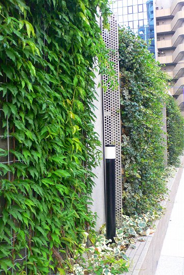 壁面植栽