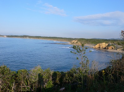 P1130543.jpg
