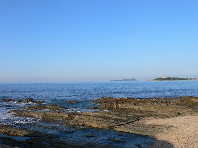 P1130546.jpg
