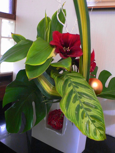P1130746.jpg