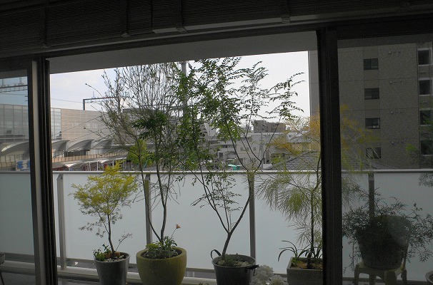 P1150663.jpg