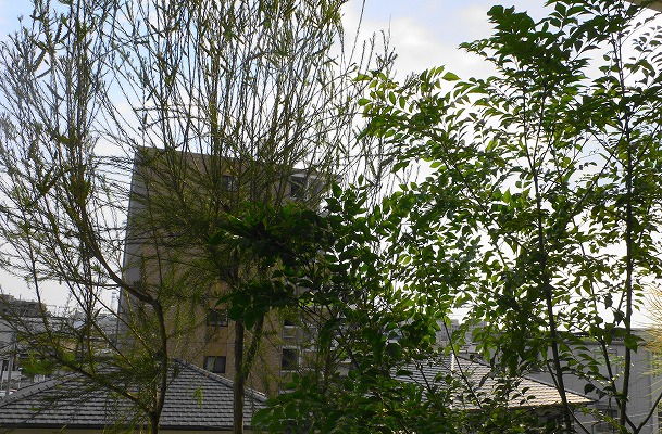 P1150670.jpg