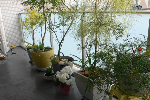 P1150682.jpg