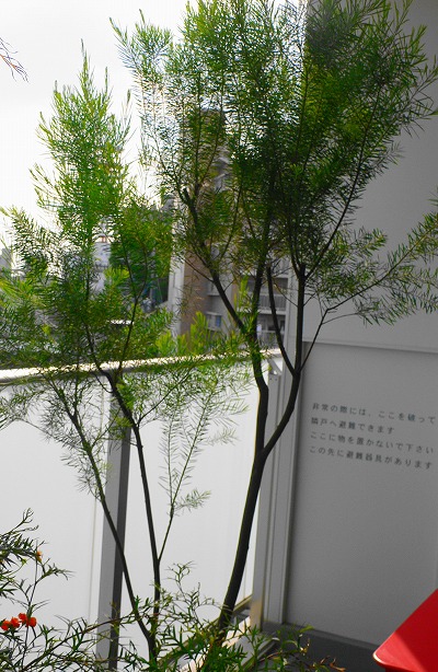 P1150688.jpg