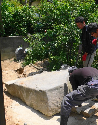 P1150654.jpg