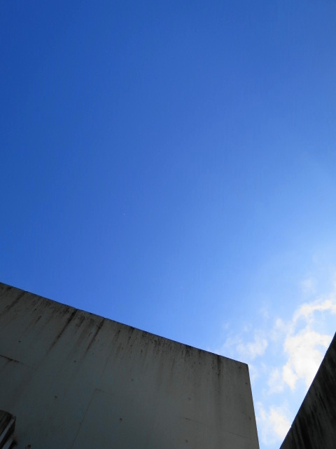 IMG_0006.JPG