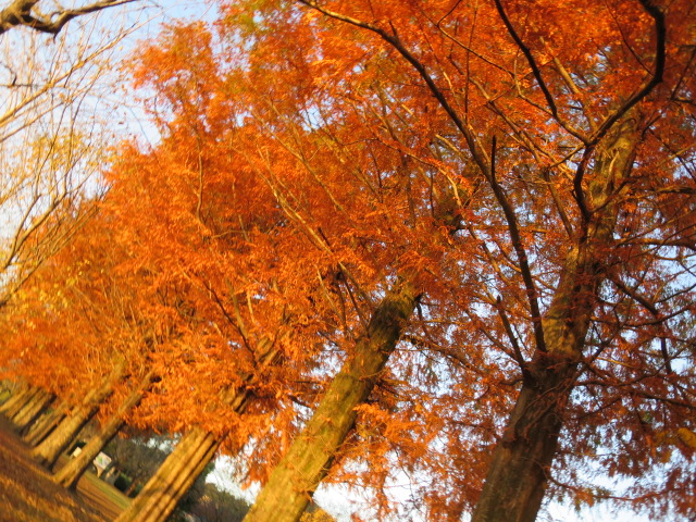 2014-11-27 16.40.02.jpg