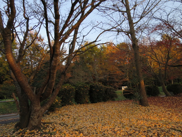 2014-11-27 16.41.13.jpg