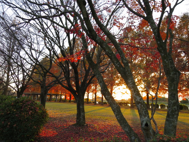 2014-11-27 16.43.56.jpg