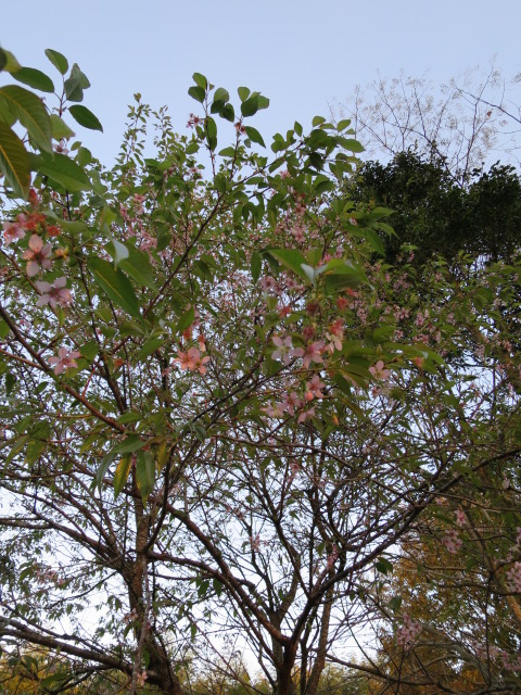 2014-11-27 16.42.21.jpg