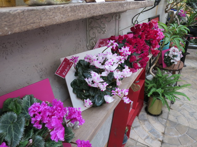 2014-12-12 14.45.20.jpg