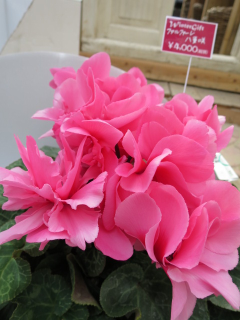 2014-12-12 14.47.09.jpg