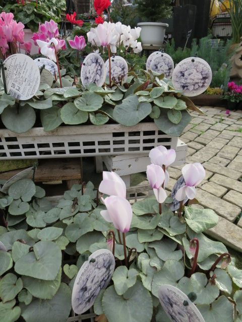 2014-12-12 14.49.26.jpg