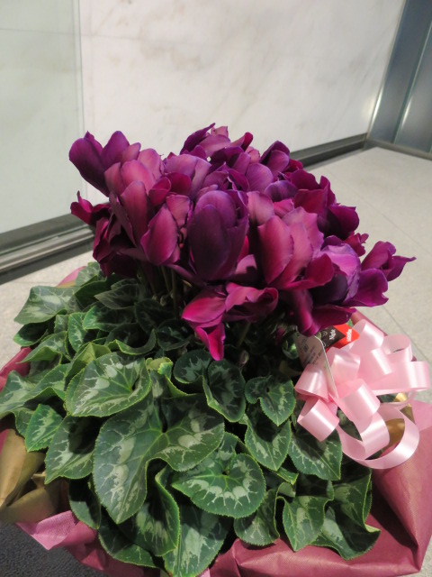 2014-12-12 17.30.44.jpg