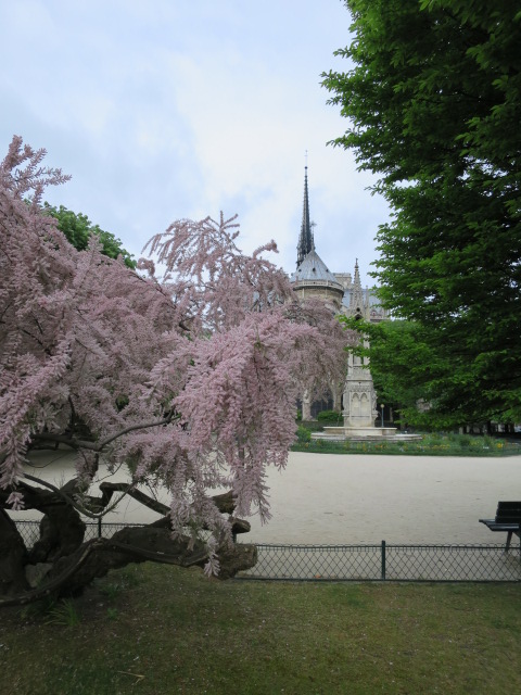 IMG_1035.JPG