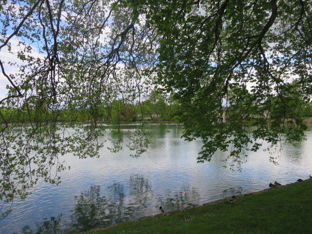 IMG_1304.JPG