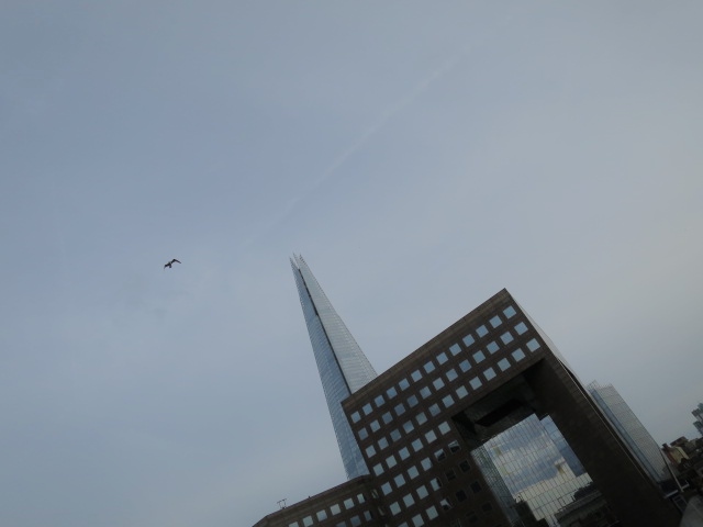 IMG_2045.JPG