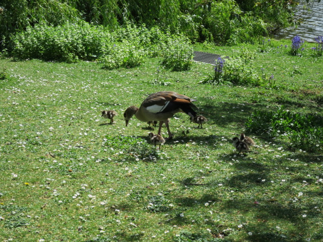 IMG_1732.JPG