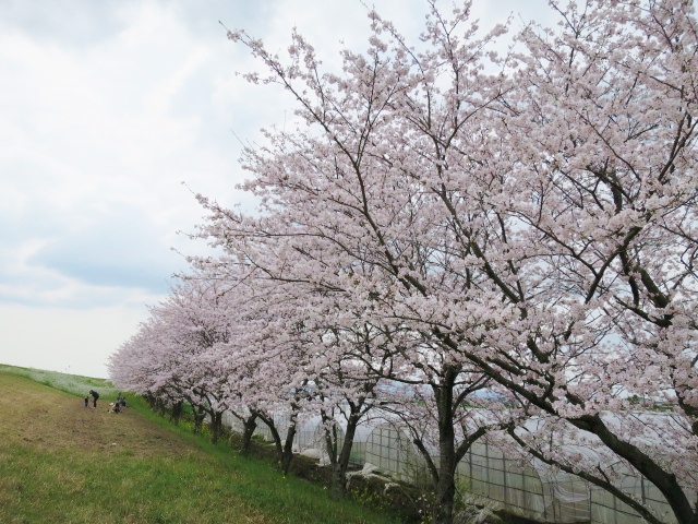 IMG_2853.JPG