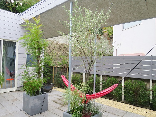 プランターで育てる大きな木 Pave Page Garden Design Blog
