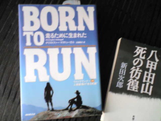20100729111729.jpg