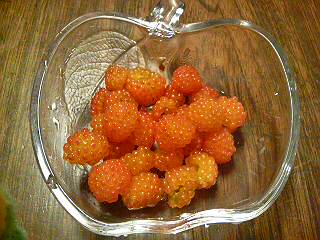 20110528082758.jpg