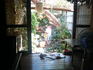 20110802144119.jpg
