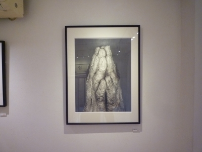 P1180160.JPG