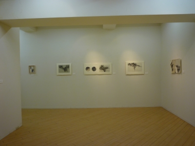 P1200401.JPG