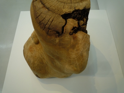 P1120135.JPG