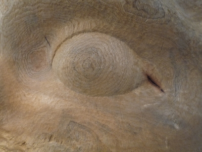 P1120136.JPG