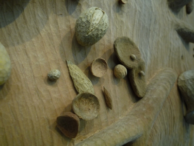 P1120137.JPG