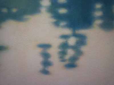 P1340330.JPG