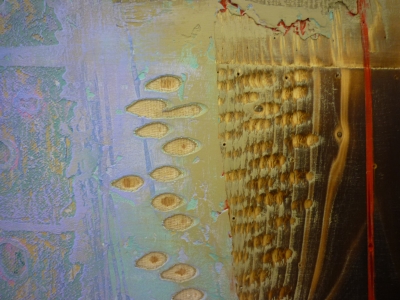 P1350073.JPG