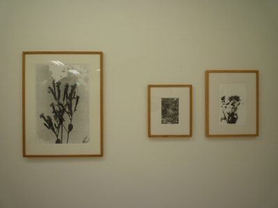 P1350606.JPG