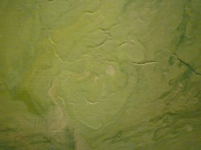 P1350661.JPG