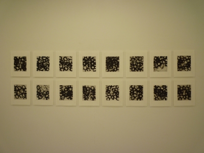 P1360537.JPG