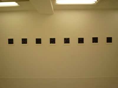 P1360540.JPG