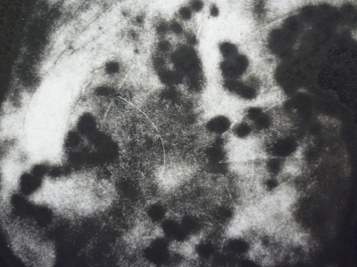 P1360544.JPG