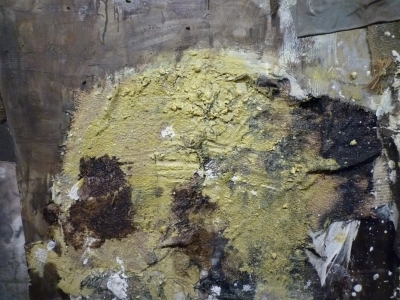 P1370015.JPG