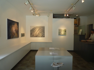 P1370075.JPG
