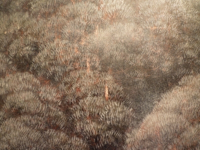 P1370082.JPG