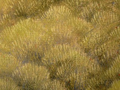 P1370092.JPG