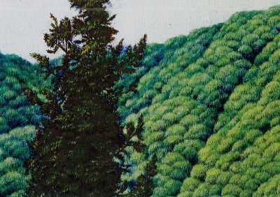 Scan0017.jpg
