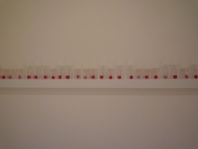 P1370210.JPG