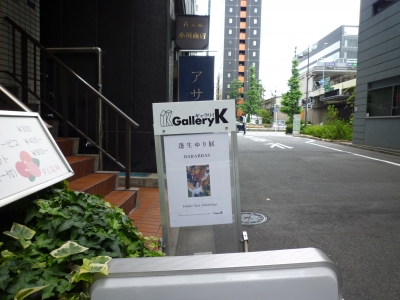 P1380138.JPG