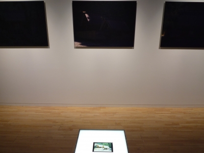 P1380232.JPG